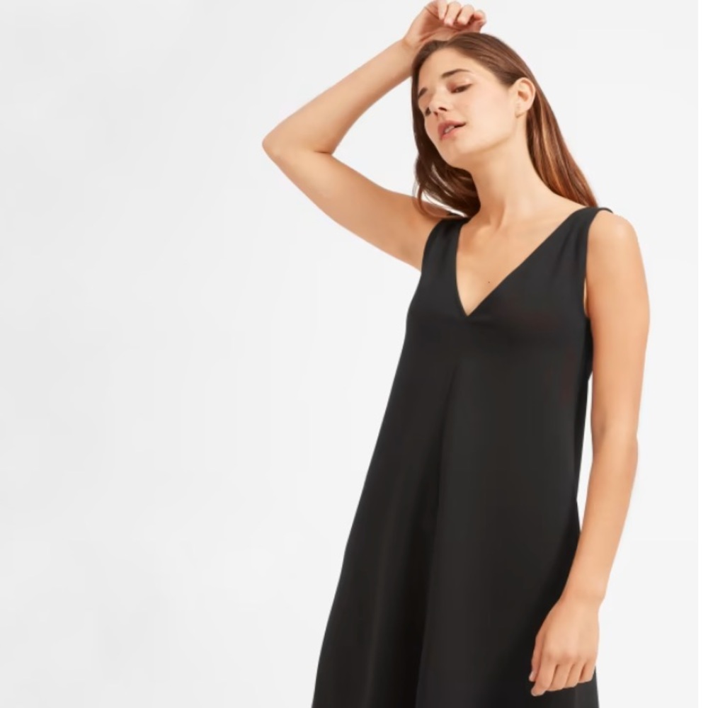 Everlane Deep V-neck A-line dress